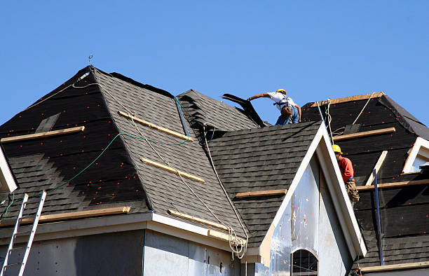 Best Roof Waterproofing Services  in Nitro, WV