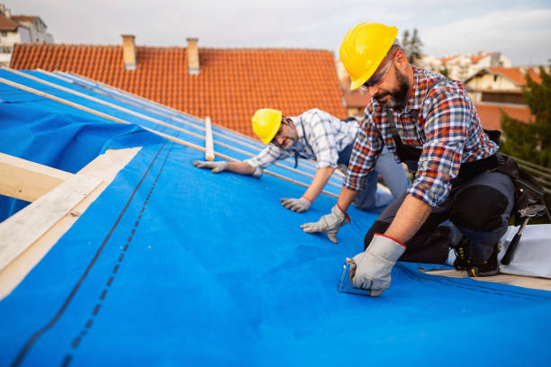 Best Emergency Roof Repair  in Nitro, WV