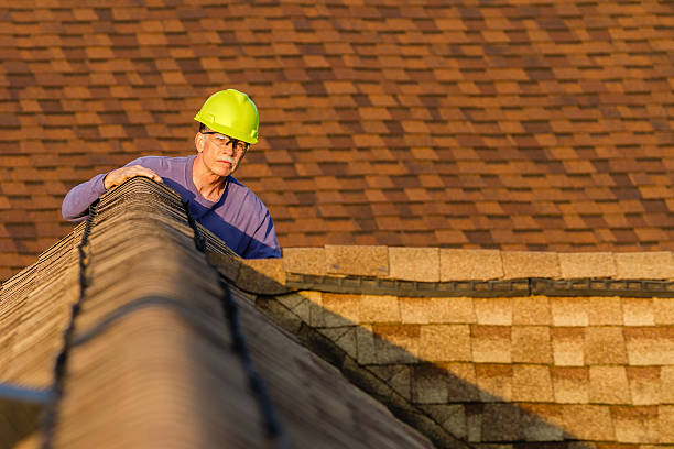 Best Roof Inspection Near Me  in Nitro, WV